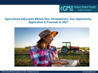 Agricultural Adjuvants Market Size, Development, Key Opportunity, Application