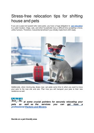 Pet Relocation Services India - HappyLocate