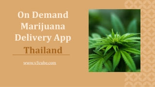 On Demand Marijuana Delivery App Thailand