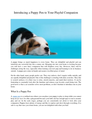 Introducing a Puppy Pen to Your Playful Companion