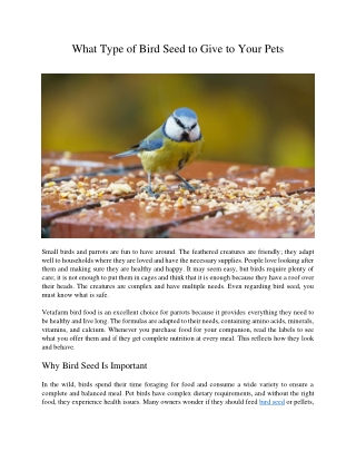 What Type of Bird Seed to Give to Your Pets