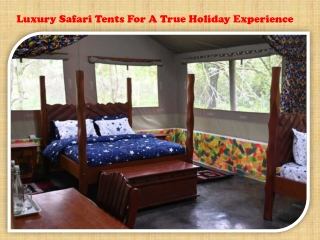 Luxury Safari Tents For A True Holiday Experience