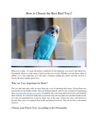 How to Choose the Best Bird Toys