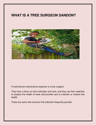 Find the best Tree Surgeon in Chignal St. James