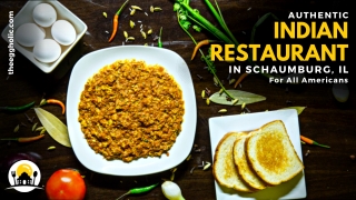 Best Indian Restaurant In Schaumburg, IL, For All The US Citizens