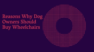Reasons Why Dog Owners Should Buy Wheelchairs