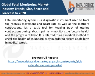Global Fetal Monitoring Market