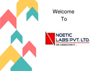 PDF-NoeticCustom Software Development Company | ERP software company in Pune