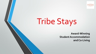 Pune Hostel For Boys and Girls | Tribe Stays