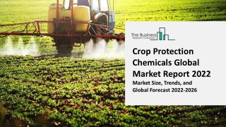 Crop Protection Chemicals Market Size, Share, By Product, By Application, By Region, And Segment Forecasts, 2022-2031