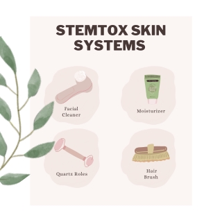 stemtox skin systems skin care routine