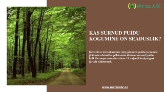 Kas surnud puidu kogumine on seaduslik