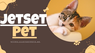 THE COMPLETE GUIDE TO THE TITER TEST FOR CATS AND DOGS