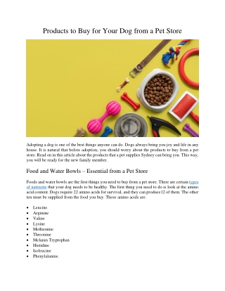 Products to Buy for Your Dog from a Pet Store