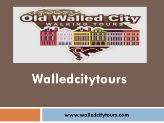 Best affordable City Tour Charleston SC