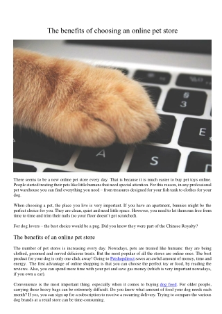 The benefits of choosing an online pet store