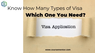 How Many Types Of Visa