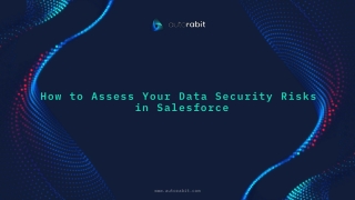 How to Assess Your Data Security Risks in Salesforce