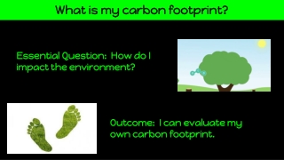 Q4 Week 1 Carbon Footprint