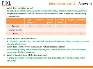 Inheritance part 3 – Answer IT