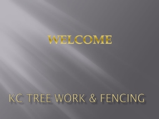 Find the best Fencing in Ashey