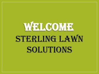 Best Lawn Care in Long Ditton