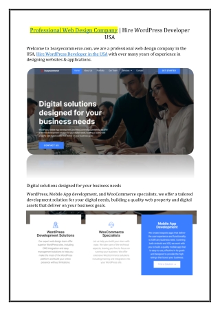 Professional Web Design Company - Hire Wordpress Developer USA