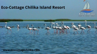 Eco-Cottage Chilika Island Resort