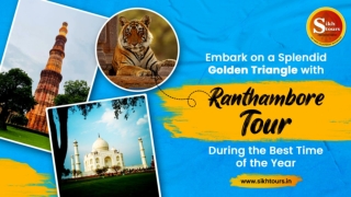 Embark on a Splendid Golden Triangle with Ranthambore Tour During the Best Time of the Year (1)