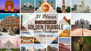 31 Places To Explore With Golden Triangle Tour Packages From Delhi
