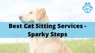 Best Cat Sitting Services - Sparky Steps