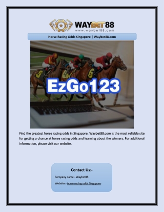 Horse Racing Odds Singapore | Waybet88.com