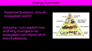 Q4 Week 6 _Energy Pyramid Notes