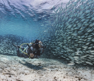 duikvakantie op bonaire