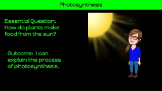 Q4 Week 9 Allen Photosynthesis Doodle