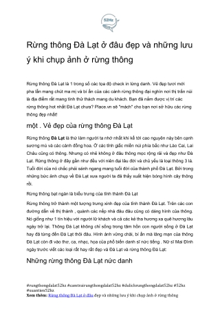 52hz Gioi Thieu Top 10 Rung Thong Da Lat Tuyet Dinh Ban Can Kham Pha