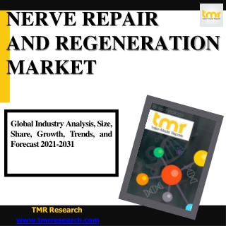 Nerve Repair and Regeneration Market – Key Drivers and Forecast - 2031