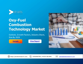 Oxy-Fuel Combustion Technology