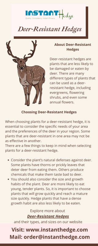 Deer-Resistant Hedges to Keep Deer at Bay