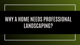 Why A Home Needs Professional Landscaping?