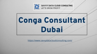 Conga Consultant in Dubai