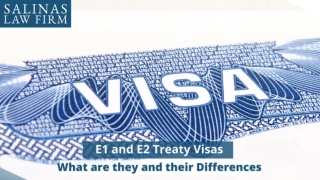 E1 AND E2 TREATY VISAS WHAT ARE THEY AND THEIR DIFFERENCES