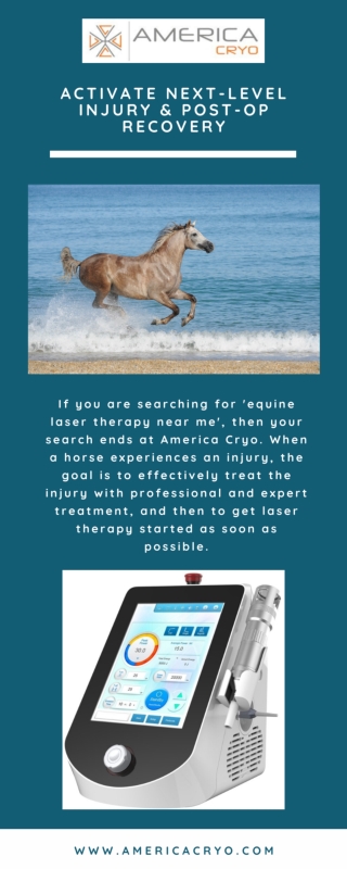 Fast Recovery Equine Laser Therapy - AmericaCryo