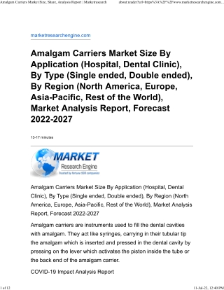 Amalgam Carriers Market