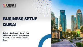 Business Setup Dubai | Dubai Business Zone