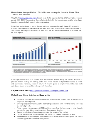 Natural Gas Storage Market