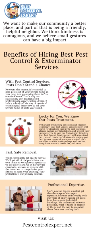 Pest Control Exterminator - Pest Control Expert