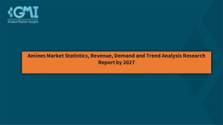 Amines Market Analysis, Global Industry Overview, 2021-2027