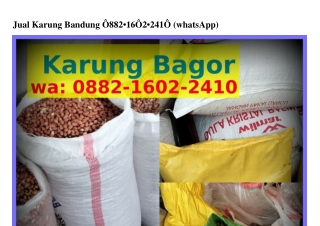 Jual Karung Bandung Jual Karung Bandung O882·lᏮO2·24lO{WA}
