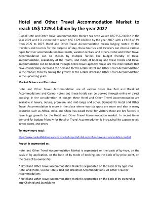 Hotel and Other Travel Accommodation Market